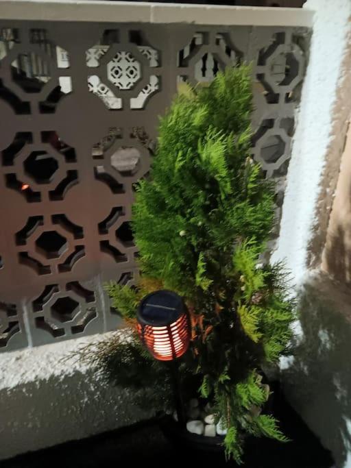 Cozy Bungalow In Urb La Marina With Shared Pool San Fulgencio Eksteriør billede
